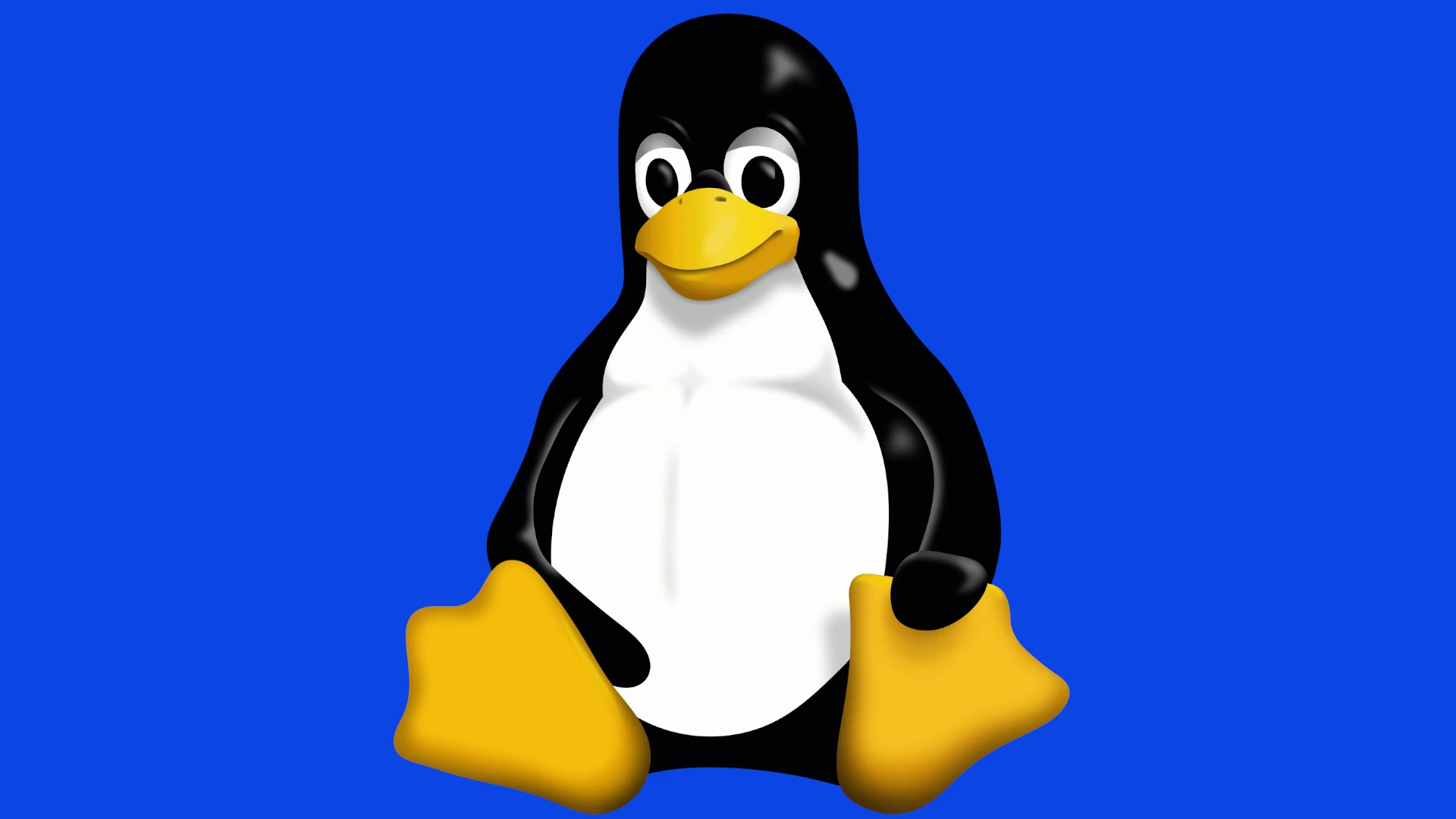 Linux Penguin